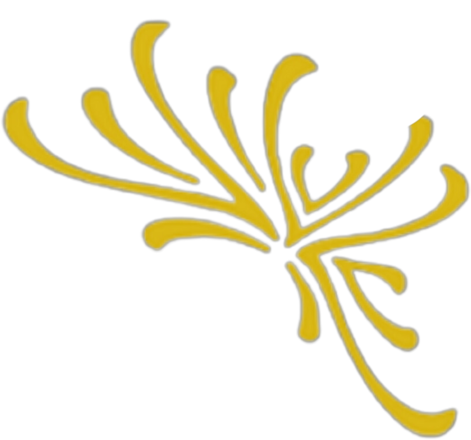 Get to know us